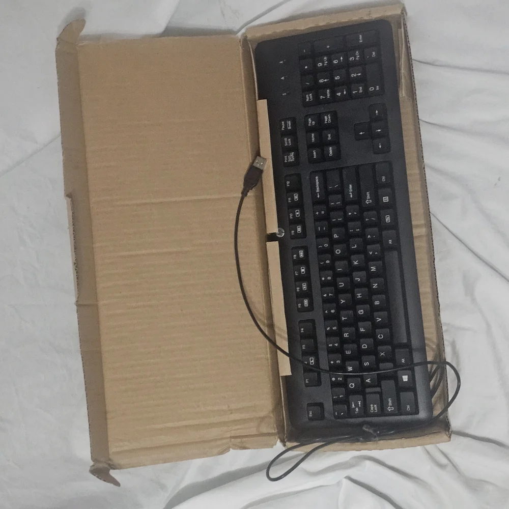 HP Wired Keyboard in Black